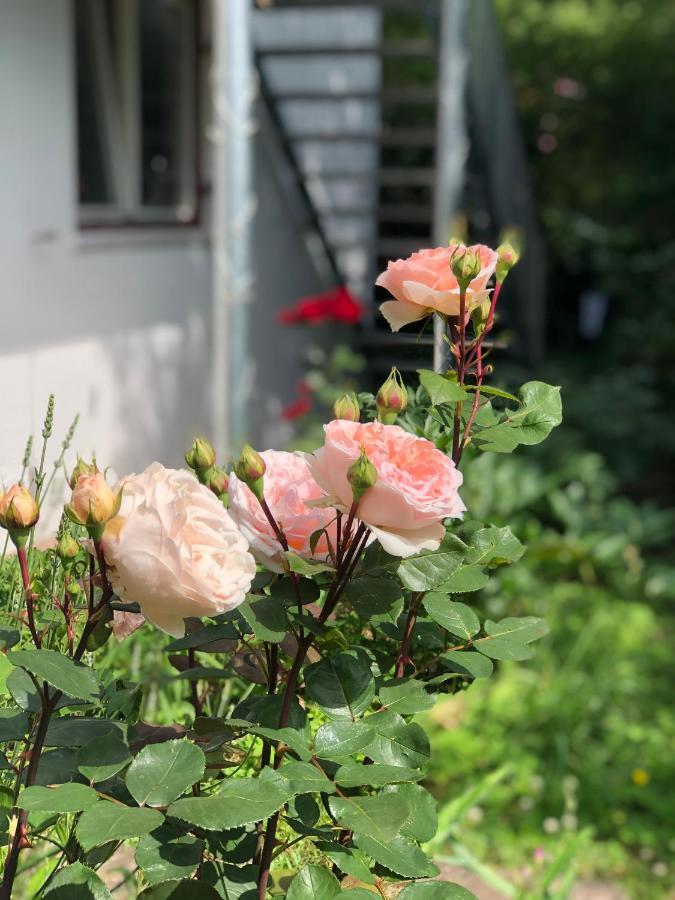 Charmante Ferienwohnung Mit Balkon Im 5-Seen-Land Hechendorf am Pilsensee Екстериор снимка